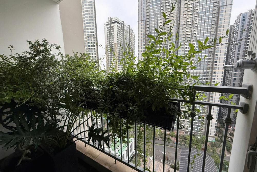 Chính chủ cho thuê căn hộ 1 phòng ngủ Central 3 nội thất huyền bí